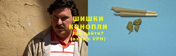 первитин Снежногорск