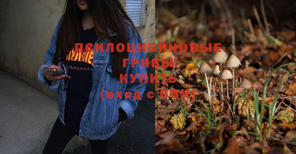 spice Беломорск