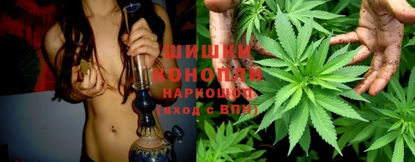 ECSTASY Белокуриха