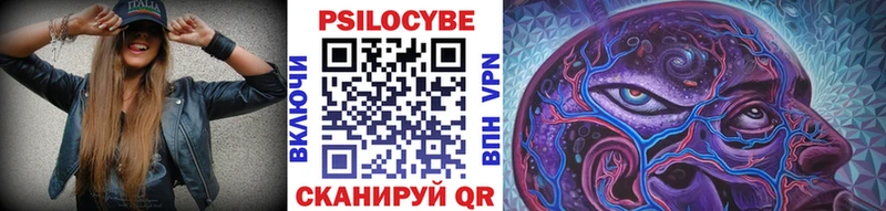 Псилоцибиновые грибы Psilocybe ссылка на мегу tor Волгореченск